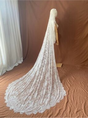 Chapel Length Lace Bridal Veil in Natural White